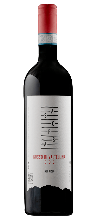 5️⃣. Ascesa 🍒🌿