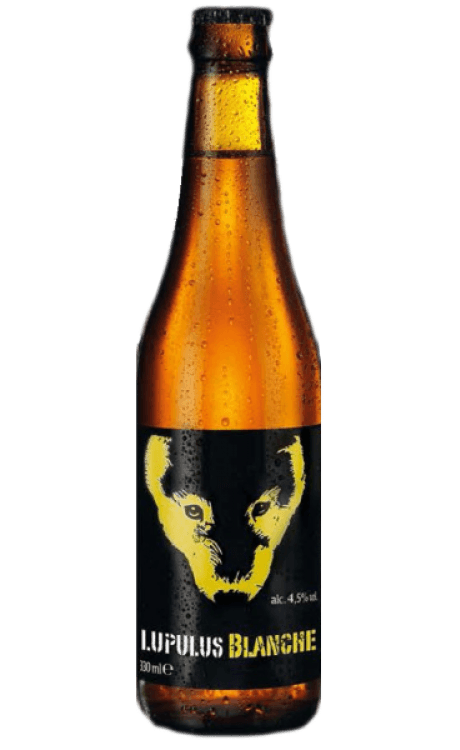 Lupulus Blanche