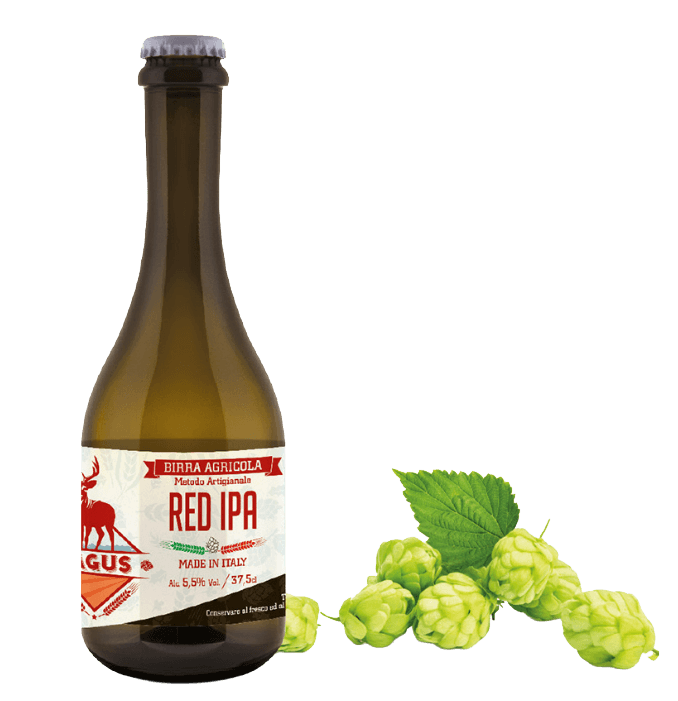 2️⃣. RED IPA